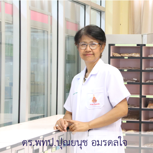 ความเชี่ยวชาญแพทย์ คลินิกกัญชาทางการแพทย์