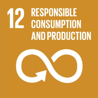 SDGs 12