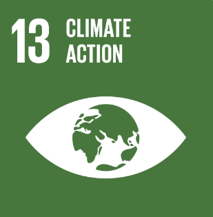 SDGs 13