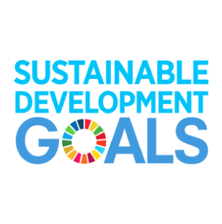 Sustainable_Development_Goals_logo